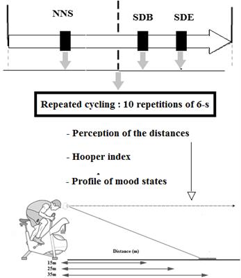 Effect of Angle of View and Partial Sleep Deprivation on Distance Perception